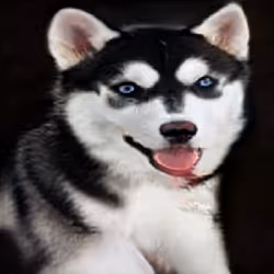 55525875118330994482032925216761404736570211771565447267945268430091585585153