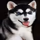 55525875118330994482032925216761404736570211771565447267945268430091585585153