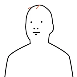 48