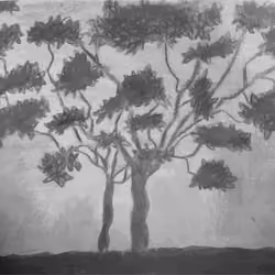 SunTree#4