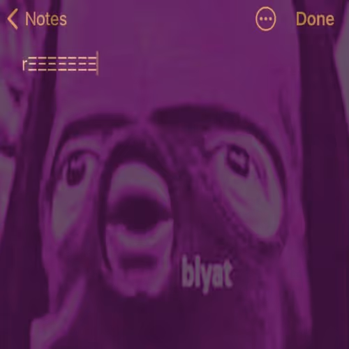 67216338964662326110570068034599829364879819849950429410839559711100833366017