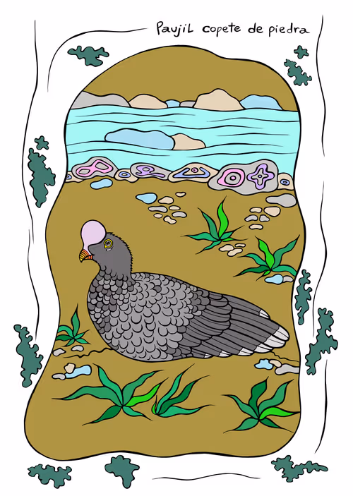 Item #58660196957666730684066954603078342667003526279346528164413612548317178232833 Media