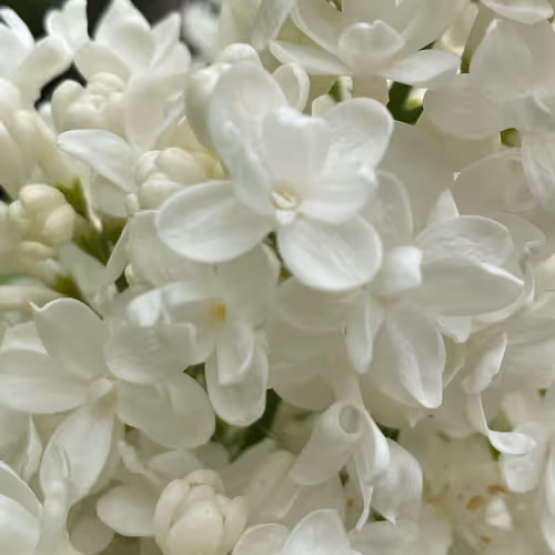 nftmeharder2022 Collection - old