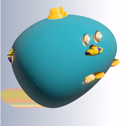 Little Whale #30
