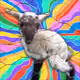12385214012810332430111917393898013340511919651015150236472092417274306101249