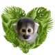 62242735698740646652838811176195790252745899996604082191760039384669778658128