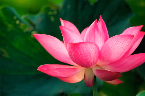 Item #4058855889328924870150502347089059965245829986372701939018037906724913938435 Media