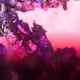 103137584464642142444007491531826659145295411286477873926469528208251767750657