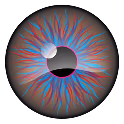 Real Eye #27