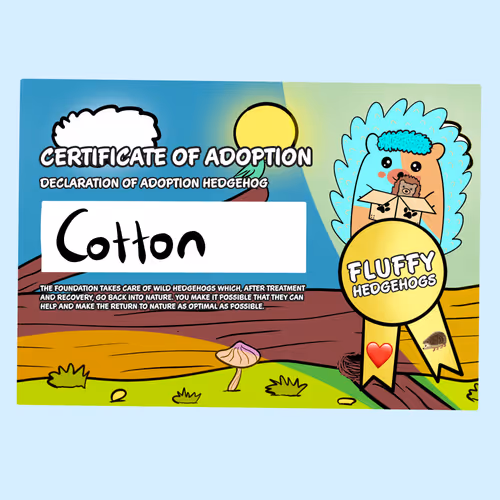 Item #82568299303928421953913761626182899451350454358972335949111842620288314376193 Media