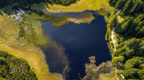 Item #28282669561370186623577376927999145844510207596921874910843125985689190006785 Media