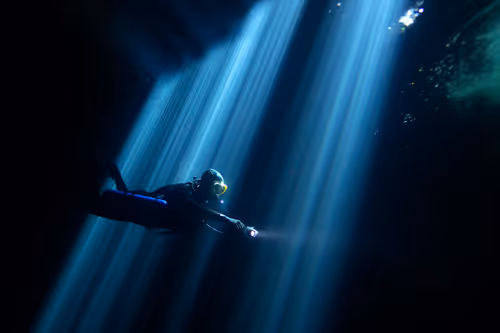 Item #25422583313571458459737529461820134862175223810011730482418987935438141915137 Media