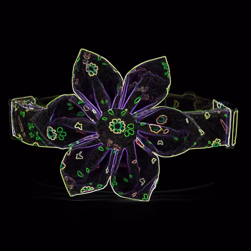 Item #70091610511292042878702066039231159687239777503764138416355142905081884573697 Media