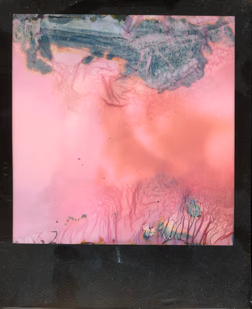 Item #70380901503112594242682332060958129293814408610490671047120815287374228488193 Media