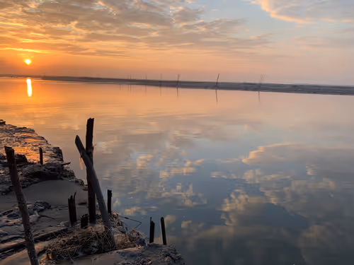 Item #43264640241784054112357608135232922111418132775549851734053280106078535680001 Media