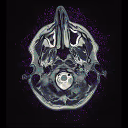 64162533542198579898252916190583583845604629893829087458582975553377971208193