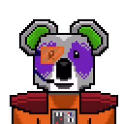 SpaceKoala #2