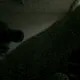 35911789274286422363693421437651924493718594970929556231381981512907093966849