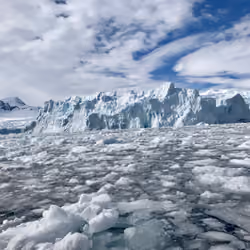 Antarctic Icebergs