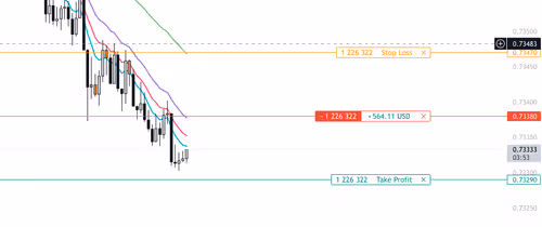 Untitled Collection #30085444