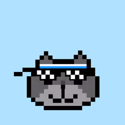17385776723304373333693317557684067973597729442470529474045320134309097504769