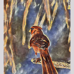 55704534837685659622621715309832868758345944585427688586690141449848715476993