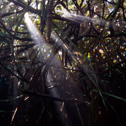 25422583313571458459737529461820134862175223810011730482418987928841072148481