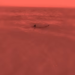Sixth Blood