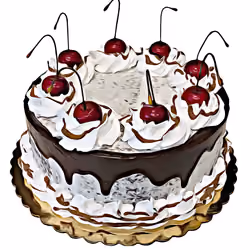 Naked Black Forest Cake #001