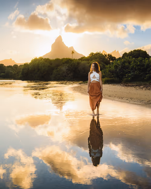 Item #82007330900791544464165619795045730741367351453180481103440088206825031204865 Media