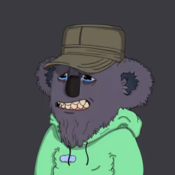 koala2