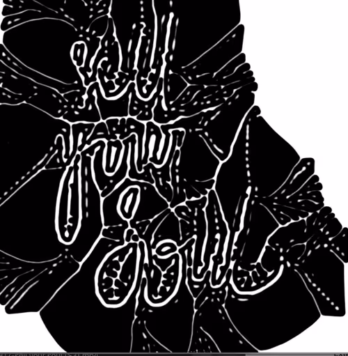 Item #107055677946812926086075001272537255579010933331324836119604535556293103976449 Media