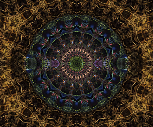 Item #96780233974533977925885998952382649279940713442658342925932000606308886642689 Media