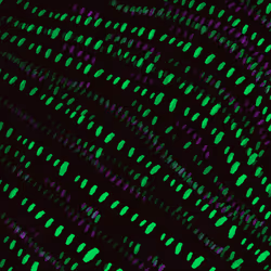 92865344142317834058796438588786317593649914540568302730894129622555081834497