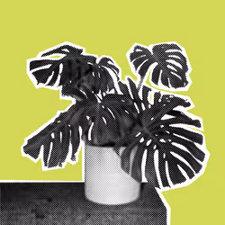 25379124807980713745219244606437574046087384809022650852355167111520911884289