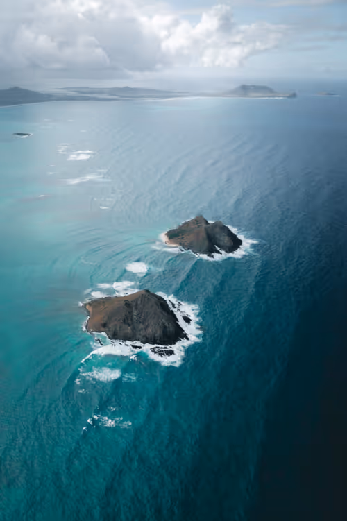 Item #78064220502355505726869985793984720926867023015257308531581829140610272985089 Media