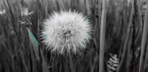 Item #20976301758881134831989222665278936219784108903075361536191037493055462572033 Media