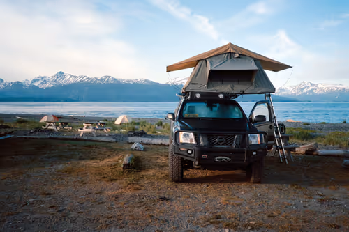 Item #86204936525623062478772312076709802278598486618652010465124009075712051904513 Media