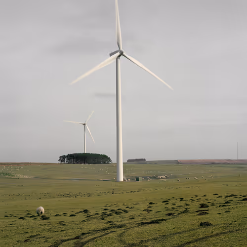 Bastardcountryside