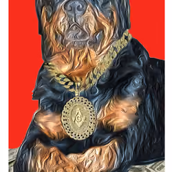 Rotty King