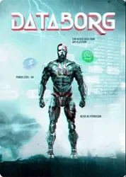 DATABORG