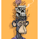 Skull Extractions