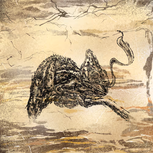 Item #42505435092464023240037635020667615408483052619425791248914544100932489052161 Media