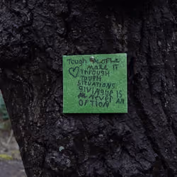 Forest note 1
