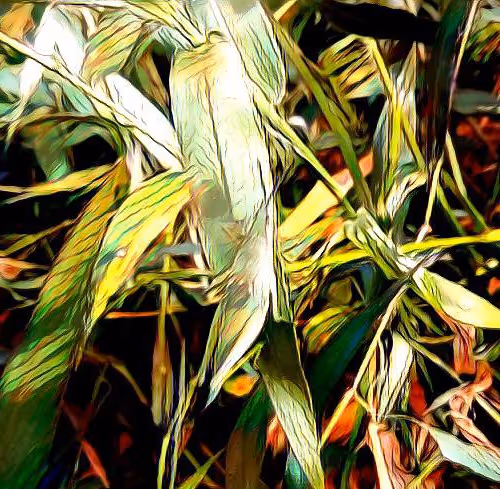 81269833061274051173789884418282317830923519221172308843662164494465212874753