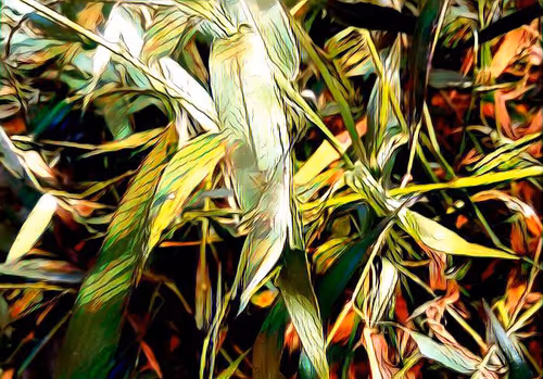 Item #81269833061274051173789884418282317830923519221172308843662164494465212874753 Media