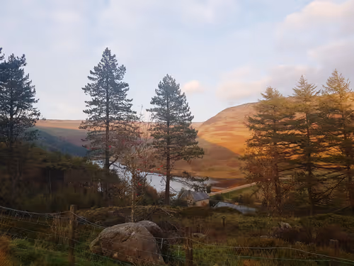 Item #441581999741352139590213475612264394503084995264347299690386679086427668481 Media