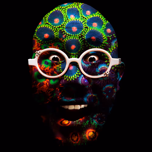 Item #90027293988038224220449632626584799523604618337544506490934228029845461270529 Media