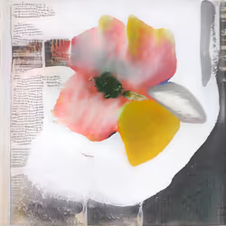 109365775537404355680634152841642333203956319687792449584351110270831822897153