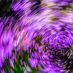 9566349108743429006839101100921653396136012468553527091874592564593846910977